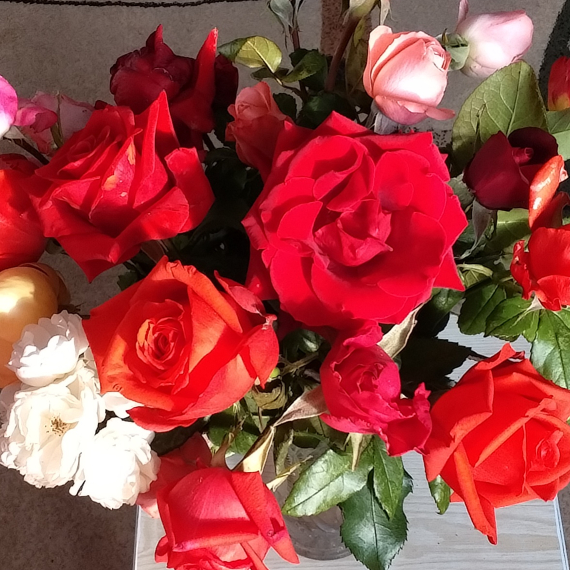 Осанова Евгения Михайловна