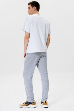 Брюки GO M2065/50-04. 176-182