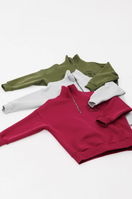 Толстовки и олимпийки GO F4087/12-01.164 вишня