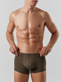 Нижнее белье Mark Formelle 411216-2/25-5150Ц-5 табак_зеленый_Нил