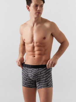 Mark Formelle 411221/24-4451П-5 текст_на_графите1