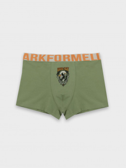 Нижнее белье Mark Formelle 411228/24-4578П-5 зеленый_чай_печать_2_сл_на_ластовице