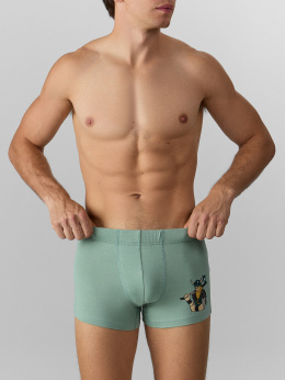 Mark Formelle 411230/25-4986П-5 зеленый_лед_печать_3_сл_на_ЛВ_пер_дет