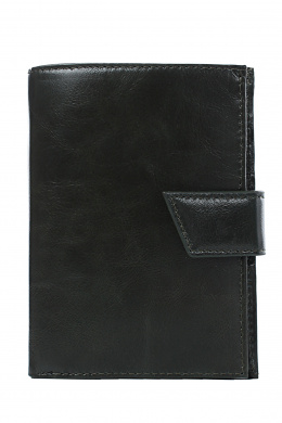 Портмоне и футляры Galanteya 2820.25с2077к45 оливковый