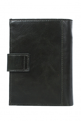 Портмоне и футляры Galanteya 2820.25с2077к45 оливковый