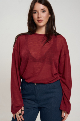 JRSy 2646 вишня