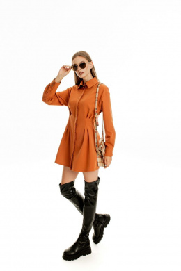 AURA of the day 3096 кэмел