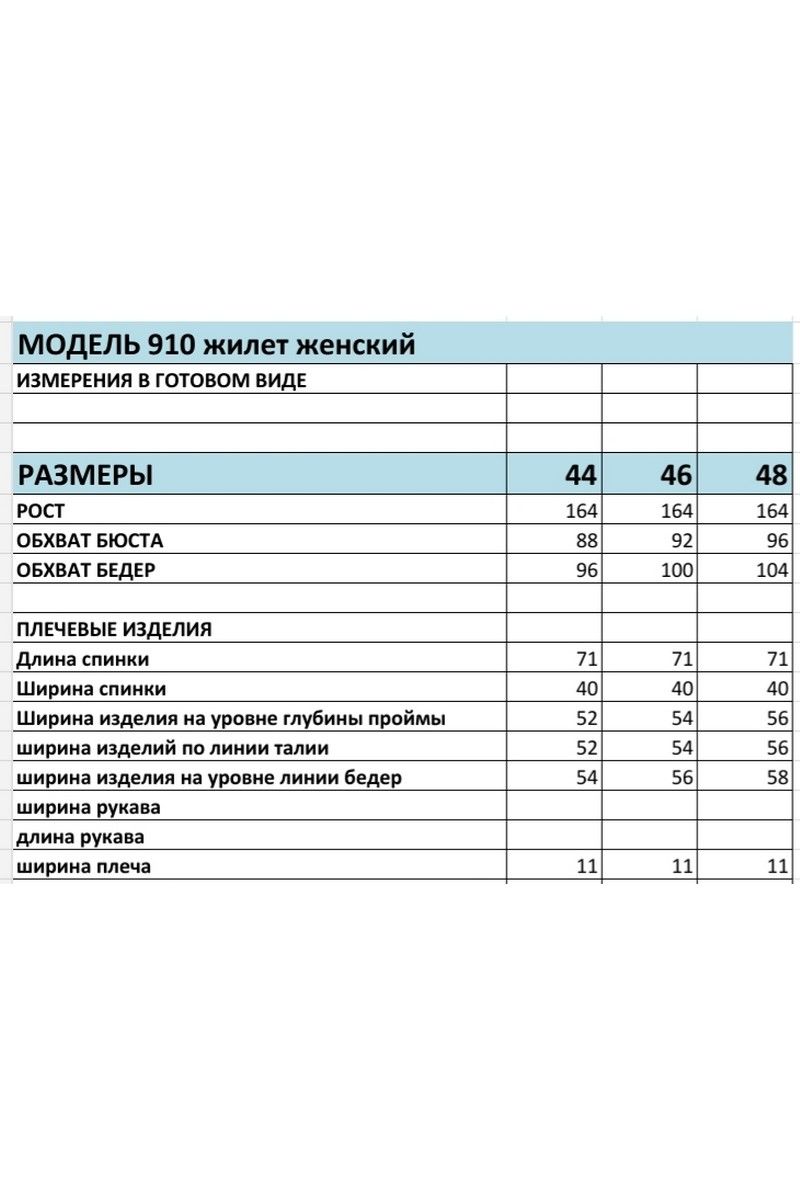 Жилеты БагираАнТа 910