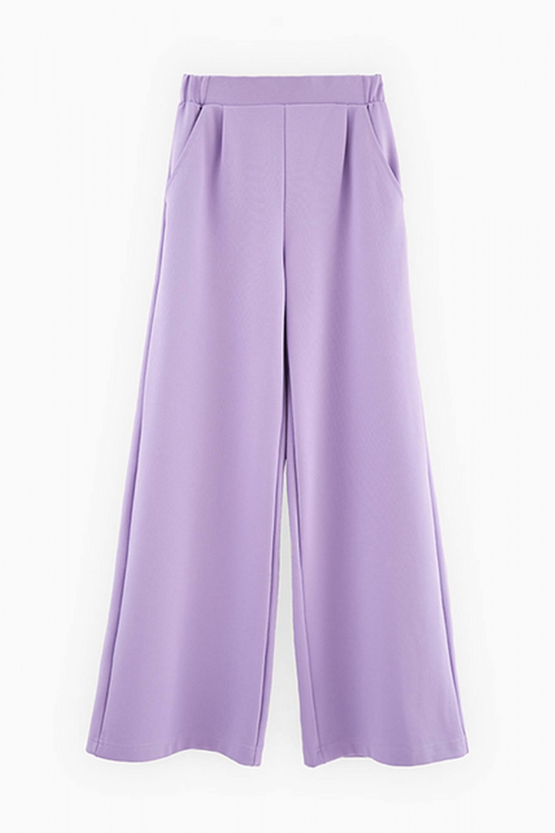 Брюки Bell Bimbo 240206 лиловый