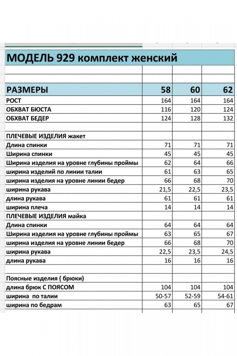 Брючный костюм БагираАнТа 929 сине-фиолетовый