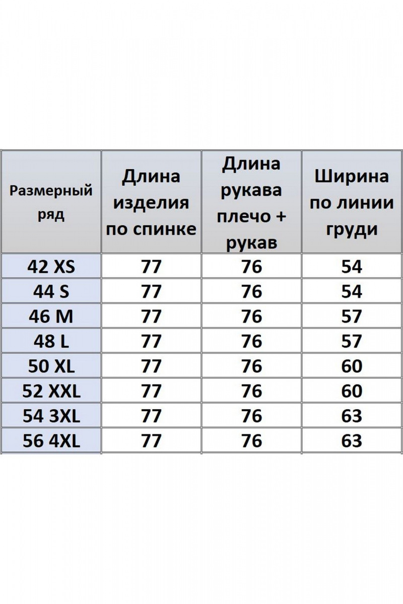 Рубашки Kivviwear 4200.02