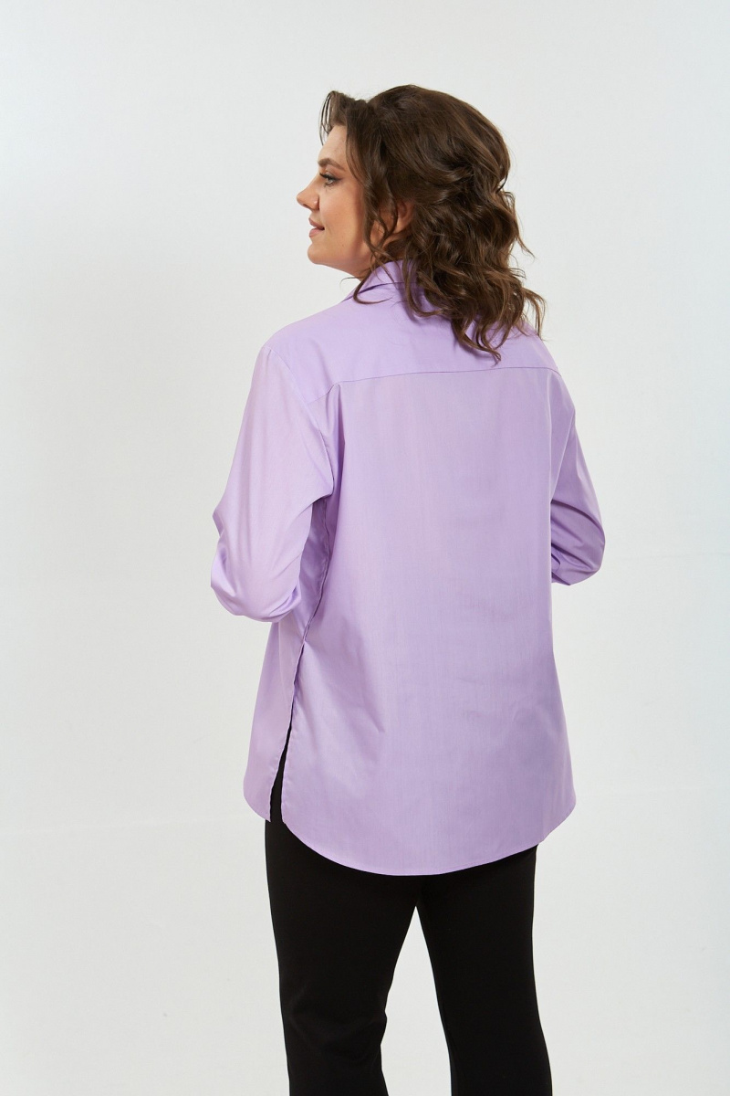 Рубашки Avenue Fashion 0301-9