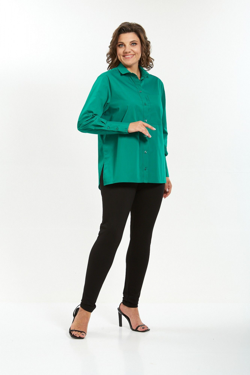 Рубашки Avenue Fashion 0301-10