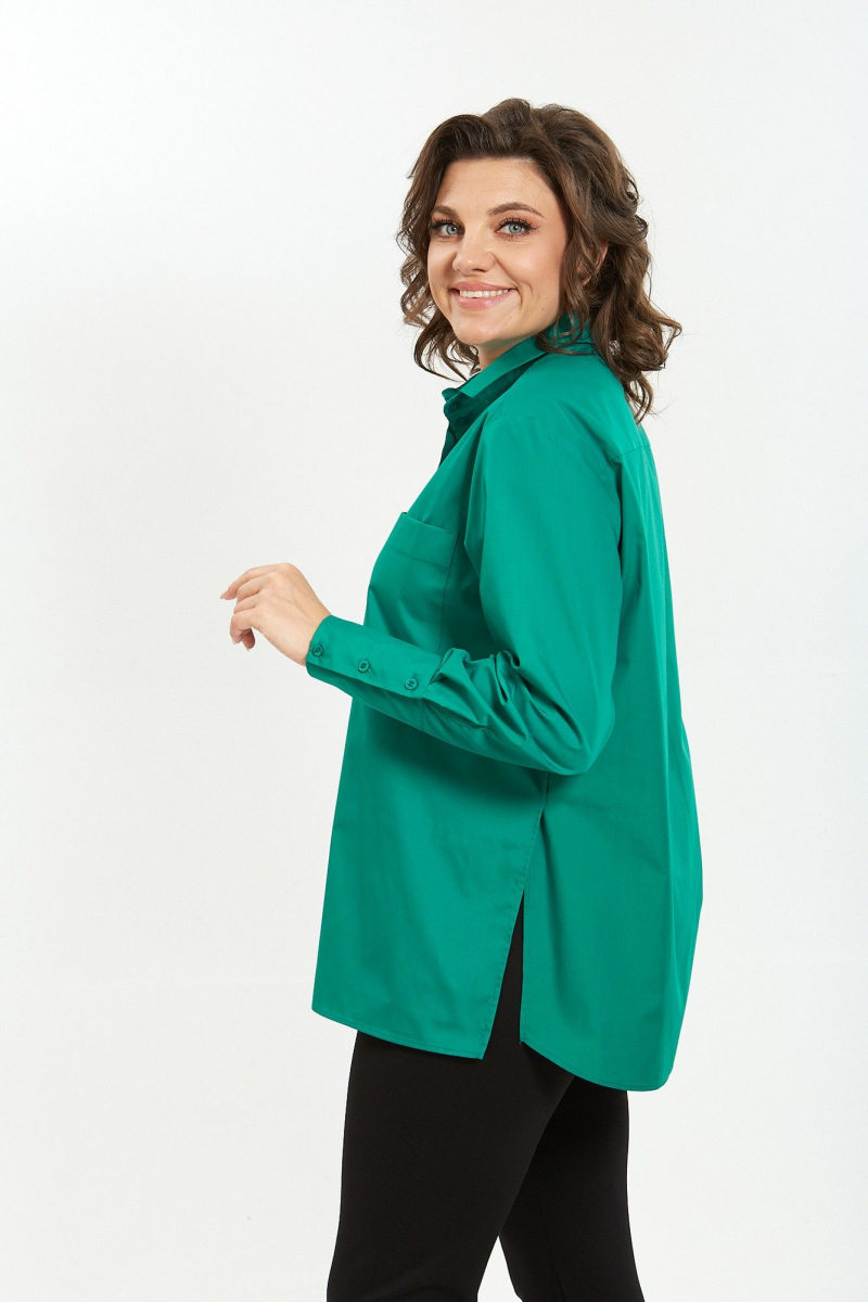 Рубашки Avenue Fashion 0301-10