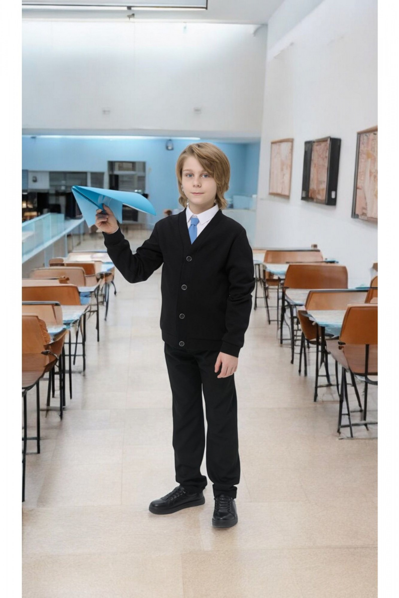 Брюки и шорты Франтишка Ш-3616 м 25с-14-с78 чёрный