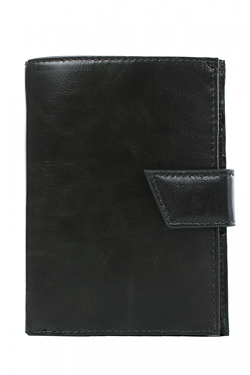 Портмоне и футляры Galanteya 2820.25с2077к45 оливковый