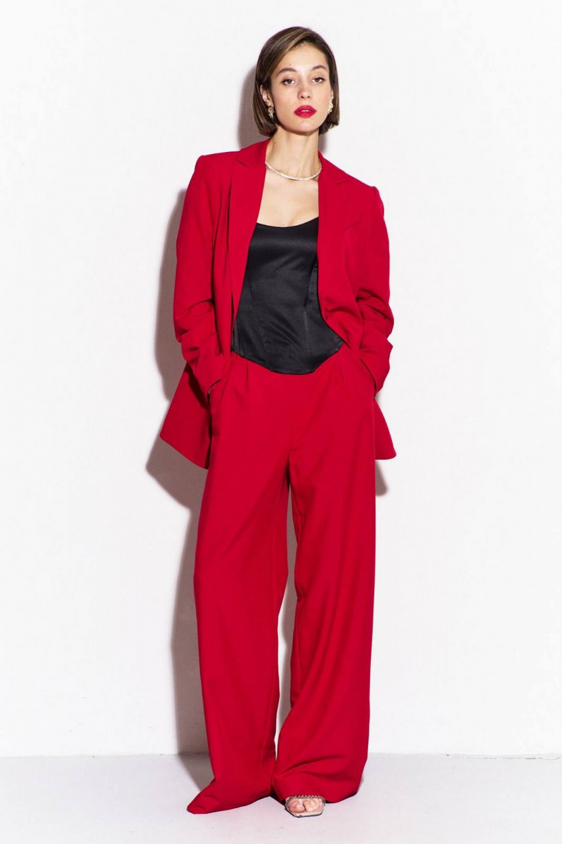 Брючный костюм RINKA 1463