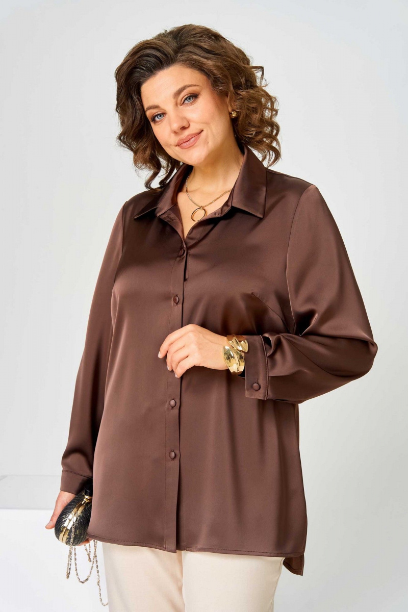 Блузы Асолия 4101 коричневый
