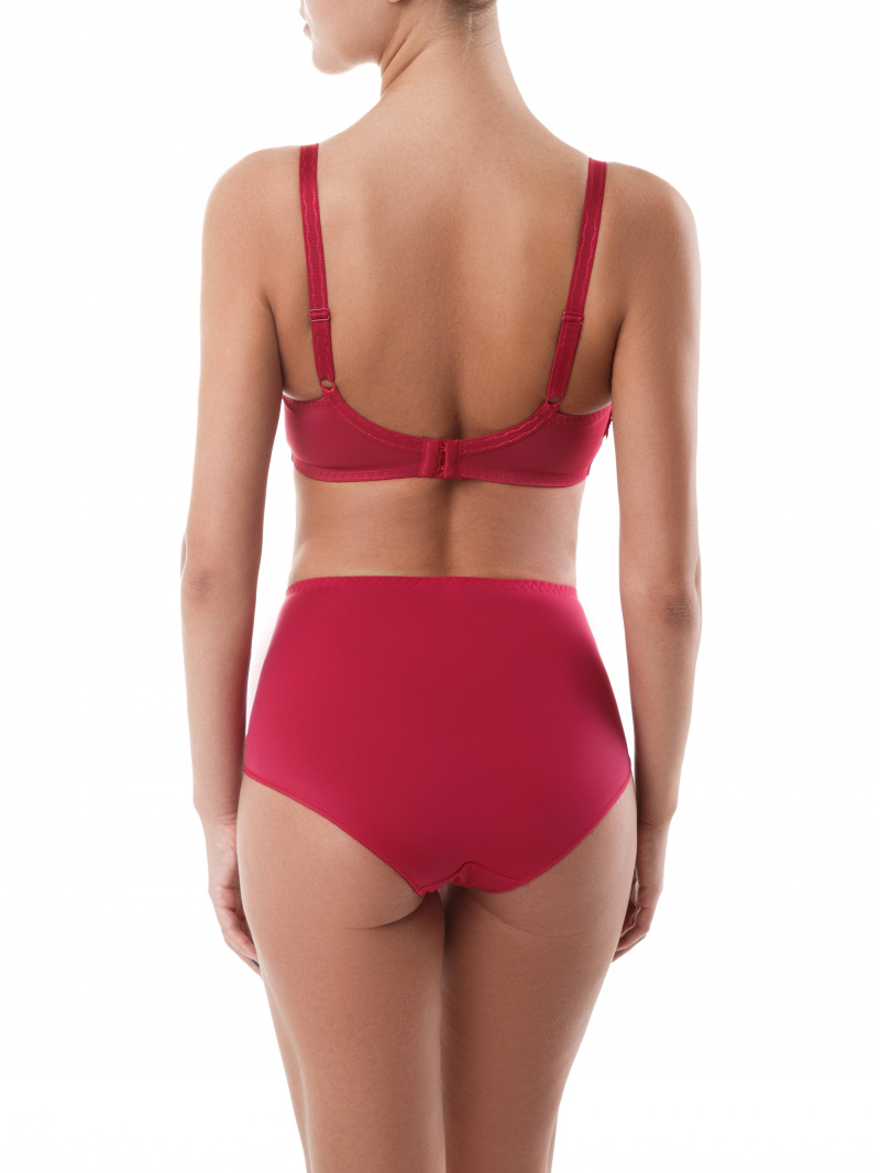 Бюстгальтеры и бюстье CONTE VOILE RB5025 брусника 18С-0007КСП