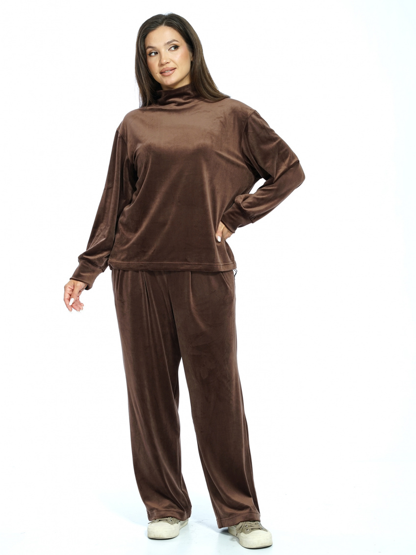 Брюки, джемпер Пинск-Стиль 303 коричневый 4